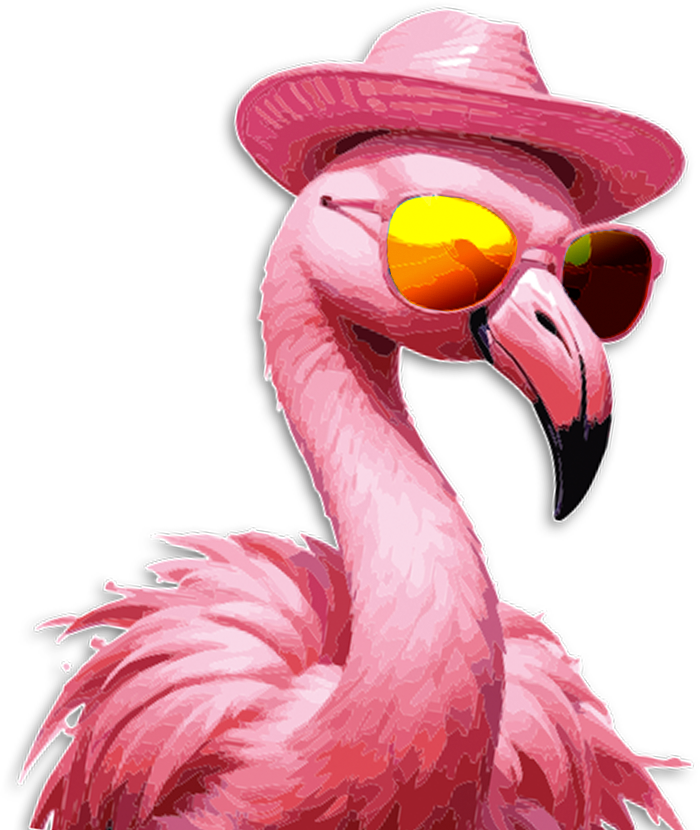 Bootcamp de Social Media online | Aprende con Yazz