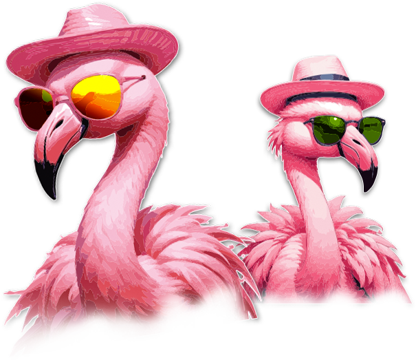 Bootcamp de Social Media online | Aprende con Yazz